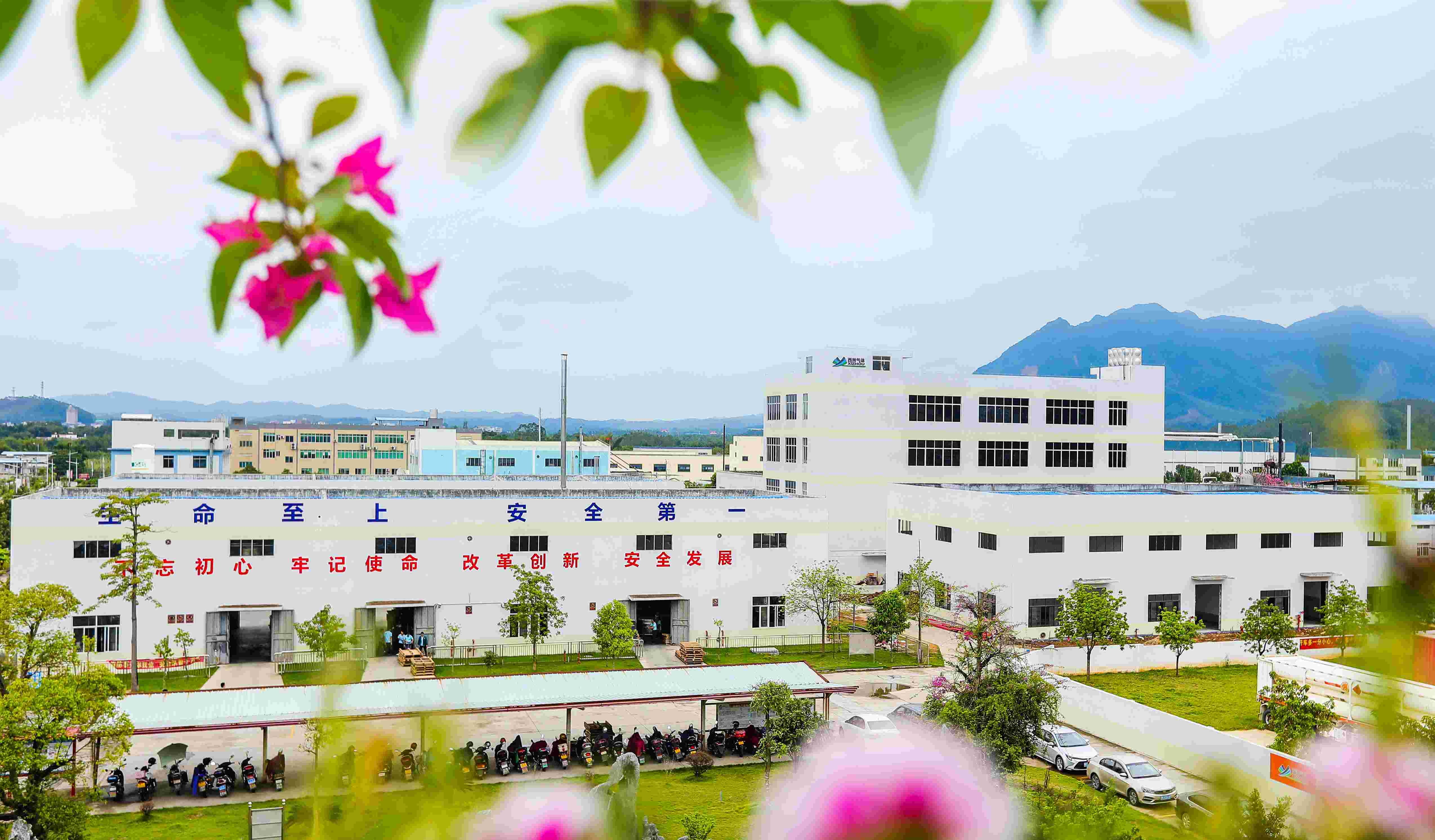 �㶫�����峧��