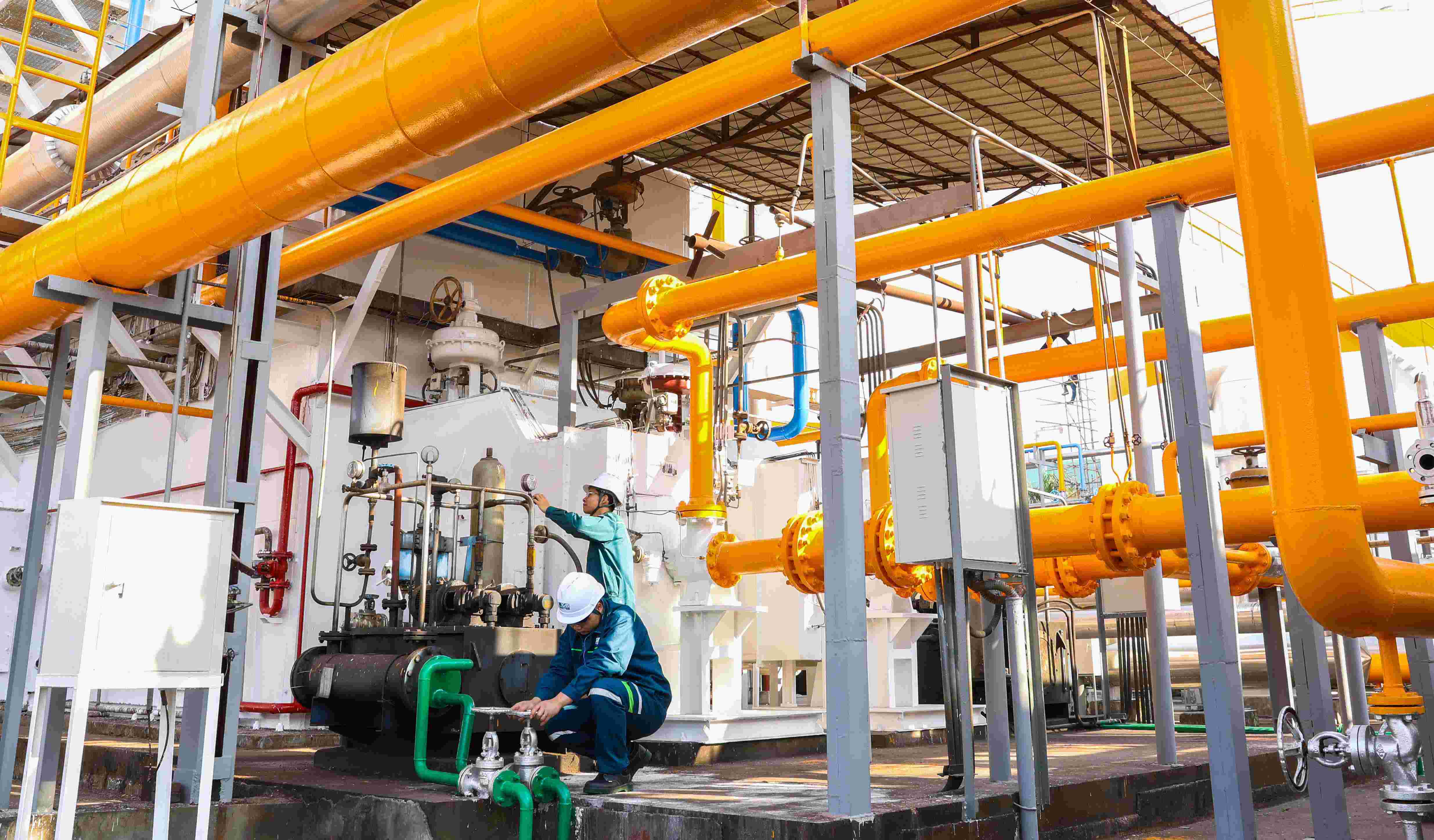 �㶫�����峧��